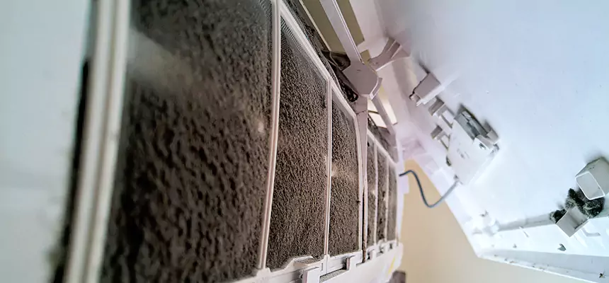 Preventive Air Duct Bacteria Removal in West New York