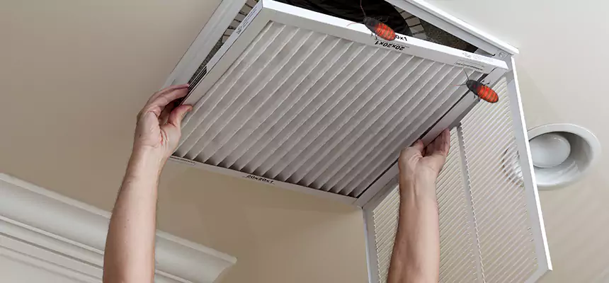 Preventive Cockroach-Proofing for Ducts in West New York