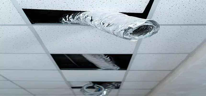 Affordable HVAC Sanitizing After Pest Removal in West New York