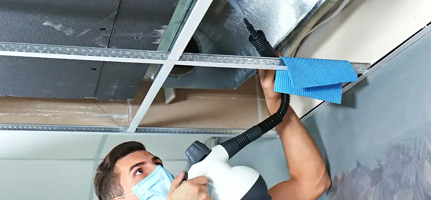 Our Air Duct Rodent Removal Services in West New York, NJ