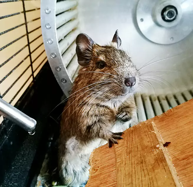 Why Homeowners & Businesses Trust Us West New York, NJ